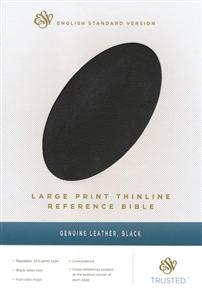 ESV Large Print Thinline Reference Genuine Leather Black - 9781433532795