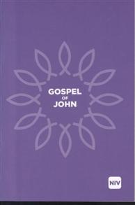Gospel of John NIV - 