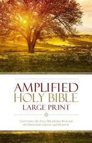 Amplified Bible Hardcover Large Print - 