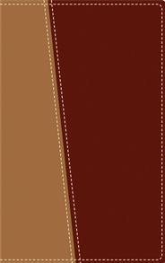 Amplified Topical Reference Bible Italian Duo-Tone - 