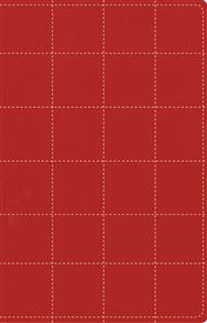 TNIV Bible Thinline Italian Duo-Tone - 