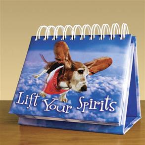 Lift Your Spirits - 