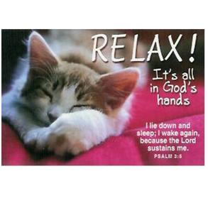 Relax! (Cat Sleeping) - Message Card - 