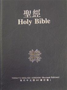 ChineseTCV/EnglishTEV Bilingual Vinyl Blue - 