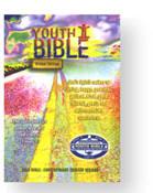 CEV Youth Bible Global Edition (Paperback) - 
