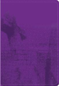 TNIV Pocket Bible LTD (Purple) - 
