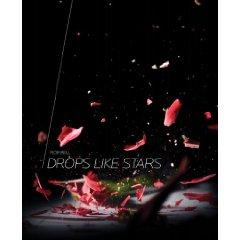 Drops Like Stars- Rob Bell - 