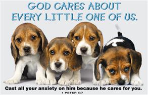 God Cares About Every Little One Of Us - 