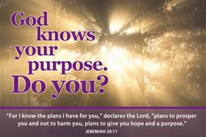 God knows your purpose. Do you? - 