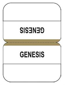 Bible Indexing Tabs Standard Gold - 