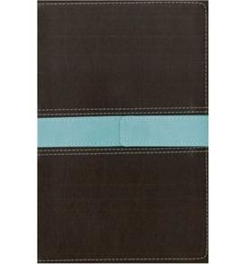 Message remix -TNIV parallel Bible - 
