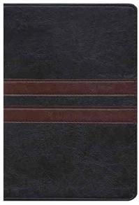 Every Man's Bible NLT, TuTone - 