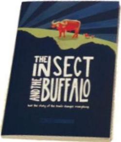 Insect and the Buffalo - 
