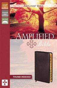 Amplified Bible Bonded Leather Burgundy Indexed - 