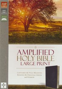 Amplified Bible Large Print Bonded Leather Burgundy - 