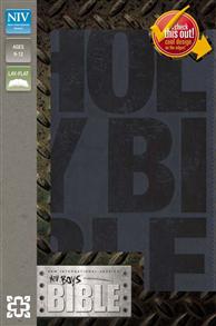 NIV Bible 2011 Boys Duotone Slate Blue - 