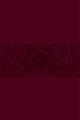 The-Passion-Translation-NT-large-Print-Burgundy-with-Psalms-Proverbs-and-the-Song-of-Songs