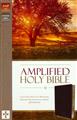 Amplified-Holy-Bible--bonded-leather%2c-burgundy-(indexed)