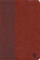 Passion-Translation-(TPT)-New-Testament-with-Psalms%2c-Proverbs%2c-and-Song-of-Songs---2nd-edition%2c-large-print%2c-imitation-leather%2c-brown