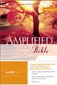 Amplified-Bible-Leather