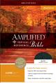 Amplified-Topical-Reference-Bible-Leather