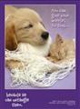 You-Can-Give-Your-Worries-To-God