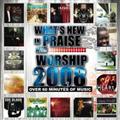Whats-New-In-Praise-And-Worship-2008