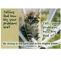 Telling-God-(Cat)---Christian-Message-Card