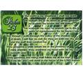 Psalm-23-(Green-Pastures)---Message-Card