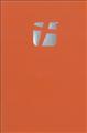 TNIV-Gift-and-Award-Bible-(Orange)