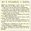 Koe-Tohi-Tapu-(Niuean-Bible)