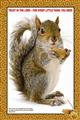 Trust-In-The-Lord---For-Every-Little-Thing-You-Need