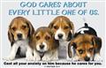 God-Cares-About-Every-Little-One-Of-Us