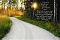 Trust-in-the-Lord-with-all-your-heart---