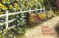 Glory-in-his-holy-name---