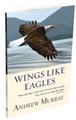 Wings-Like-Eagles-%5b2009%5d