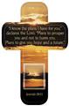 Bookmark-Cross-(12-Pack)-I-Know-The-Plans