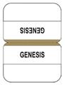 Bible-Indexing-Tabs-Standard-Gold