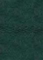 MESSAGE-NUMBERED-DARK-GREEN-LEATHERLOOK-BIBLE-LTH