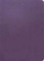 The-Message--REMIX-2-0%2c-Purple-Leather-Look