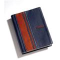 TNIV-Strive---Bible-for-Men
