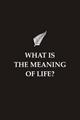 What-is-the-Meaning-of-Life