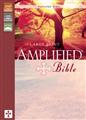 Amplified-Bible