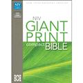 NIV-Bible-2011-Compact-Giant-Print-Leatherlook-Burgundy